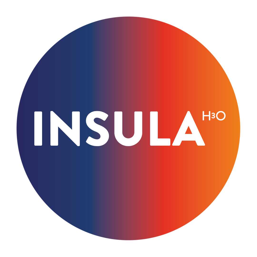 Logo Insula College